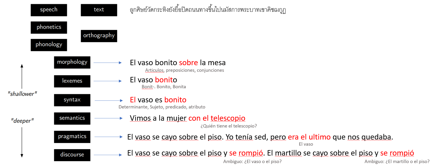 Niveles del lenguaje
