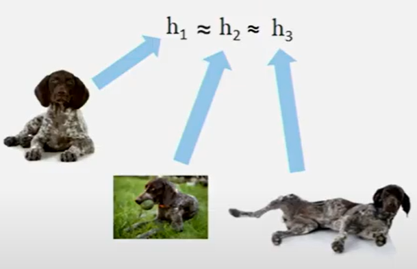 Representación de imagenes