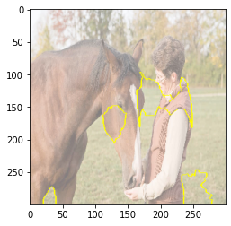 ../../../../_images/vision_neural_interpret_code_lime_49_1.png