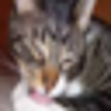 ../../../../_images/vision_neural_vit_code_vit_classification_16_0.png